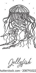 Jellyfish. Sketchy hand-drawn vector illustration.