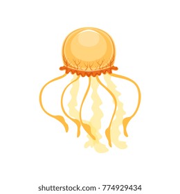 Jellyfish, species of underwater life vector Illustration