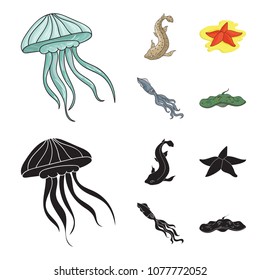 Jellyfish, squid and other species.Sea animals set collection icons in cartoon,black style vector symbol stock illustration web.