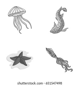 Jellyfish, squid and other species. Sea animals set collection icons in monochrome style vector symbol stock illustration web.