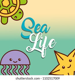 jellyfish and starfish sea life cartoon