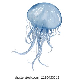 jellyfish with style hand drawn digital painting illustration