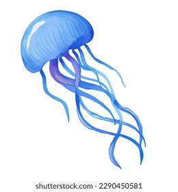 jellyfish with style hand drawn digital painting illustration