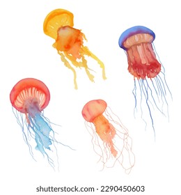 jellyfish with style hand drawn digital painting illustration