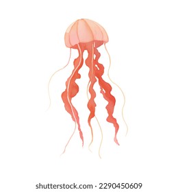 jellyfish with style hand drawn digital painting illustration