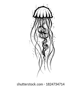 Discover more than 74 small jellyfish tattoo latest  thtantai2