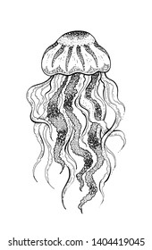 Jellyfish, underwater jelly fish icon. Coral reef animal sketch icon. Black engraved water element graphic, for coloring book, tattoo, print. Doodle hand drawn vector illustration isolated background