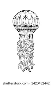 Jellyfish, underwater jelly fish icon. Coral reef animal sketch icon. Black engraved water element graphic, for coloring book, tattoo, print. Doodle hand drawn vector illustration isolated background