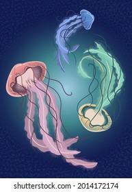 Jellyfish underwater marine on deep blue background. Vector art illustration for postcard, booklet, flyer, etc.