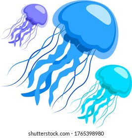 Jellyfish, the underwater world. Stylized jellyfish on a white