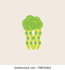 Jellyfish vector