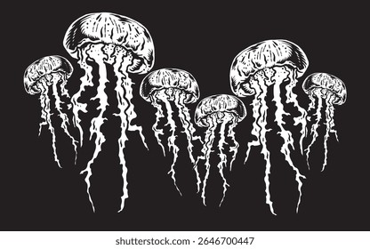 Jellyfish vector art and designs, Isolated on black background