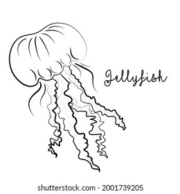 Jellyfish. Vector. Cartoon character. Black and white.