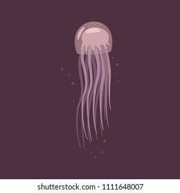 Jellyfish vector cartoon flat illustration isolated on background.