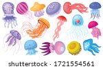 Jellyfish vector cartoon icon. Isolated cartoon set icon medusa.Vector illustration jellyfish on white background .
