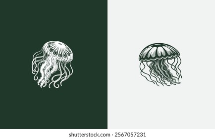 Jellyfish vector design on white background