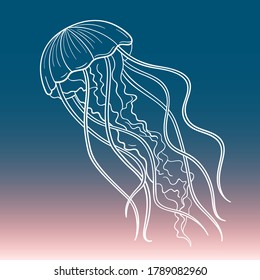 Jellyfish, vector element,  gradient background