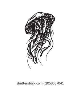 jellyfish vector hand drawn illustration for logo, t shirt, or label