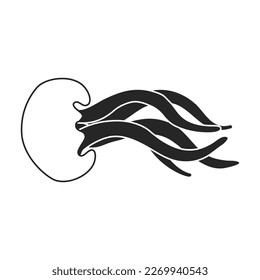 Jellyfish vector icon. Black vector icon isolated on white background jellyfish.