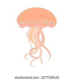 Jellyfish vector icon. Cartoon colorful icon isolated on white background. Beautiful silhouette for tattoo design, festive card, fashion ornaments, logo, children, pattern. Vector illustration.