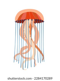 Jellyfish vector icon. Cartoon colorful icon isolated on white background. Beautiful silhouette for tattoo design, festive card, fashion ornaments, logo, children, pattern. Vector illustration