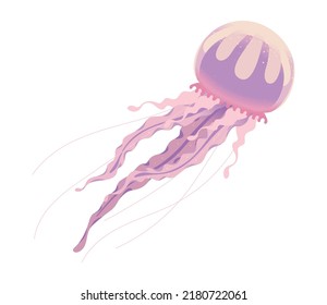 jellyfish vector icon white background