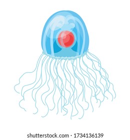 Jellyfish vector icon.Cartoon vector icon isolated on white background jellyfish.