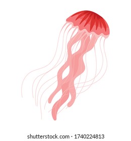 Jellyfish vector icon.Cartoon vector icon isolated on white background jellyfish.