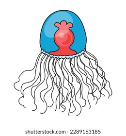 Jellyfish vector icon.Color vector icon isolated on white background jellyfish.