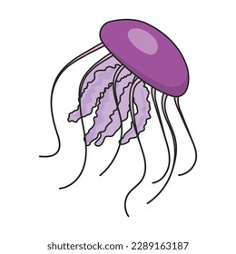 Jellyfish vector icon.Color vector icon isolated on white background jellyfish.