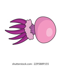 Jellyfish vector icon.Color vector icon isolated on white background jellyfish.