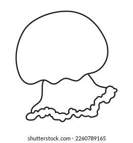 Jellyfish vector icon.Outline vector icon isolated on white background jellyfish.