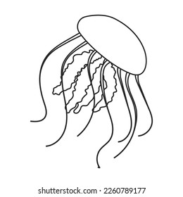 Jellyfish vector icon.Outline vector icon isolated on white background jellyfish.