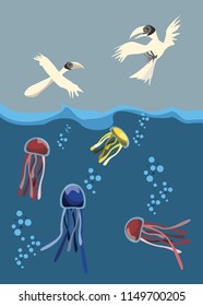 jellyfish vector illustration 