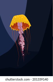 Jellyfish, vector illustration