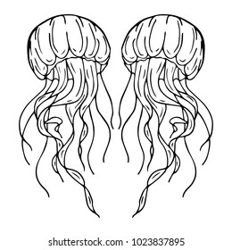 Jellyfish vector illustration background. Doodle style. Design, print, decor, textile, paper