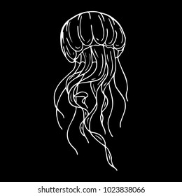 Jellyfish vector illustration background. Doodle style. Design, print, decor, textile, paper