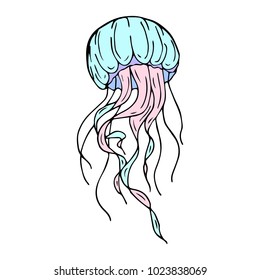 Jellyfish vector illustration background. Doodle style. Design, print, decor, textile, paper