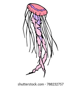 Jellyfish vector illustration background. Doodle style. Design, print, decor, textile, paper