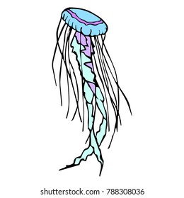 Jellyfish vector illustration background. Doodle style. Design, print, decor, textile, paper