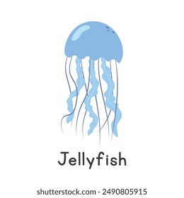 Jellyfish vector illustration. Beautiful blue compass jellyfish cartoon clipart, animal in flat style. Sea animals, underwater creatures, ocean animals, marine life concept. Jellyfish vector design