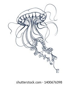 jellyfish, vector illustration, hand drawing ,isolated on white background