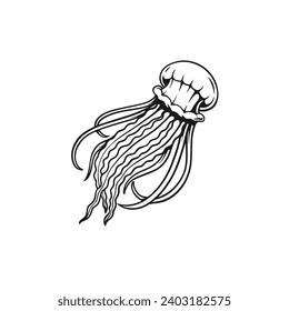 jellyfish vector illustration hand drawn