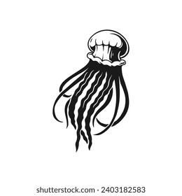 jellyfish vector illustration hand drawn