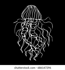 Jellyfish vector illustration on black background. Doodle style. Design icon, print, logo, poster, symbol, decor, textile, paper, card. 