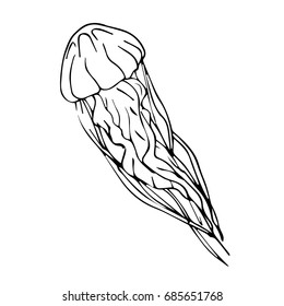 Jellyfish vector illustration on white background. Doodle style. Design icon, print, logo, poster, symbol, decor, textile, paper, card. 