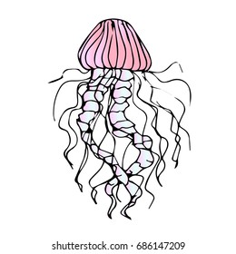Jellyfish vector illustration on white background. Doodle style. Design icon, print, logo, poster, symbol, decor, textile, paper, card. 