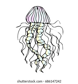 Jellyfish vector illustration on white background. Doodle style. Design icon, print, logo, poster, symbol, decor, textile, paper, card. 