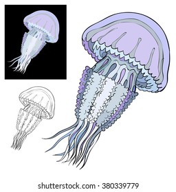 Hydroids Stock Illustrations, Images & Vectors | Shutterstock