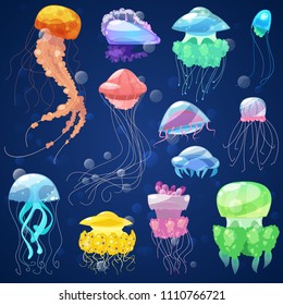 Jellyfish vector ocean jelly-fish and underwater nettle-fish illustration set of jellylike glowing medusa or fish in sea isolated on background